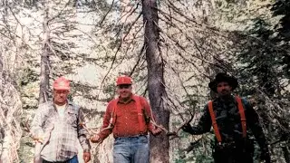 Barrel Camp, Weiser Canyon,Carson Iceberg Wilderness. . . circa 1945-1994