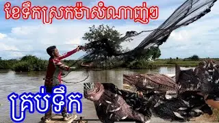 Rice Farming and Net Fishing in The Rice Fields!/ ដល់ខែទឹកស្រកហើយបងប្អូនរកត្រីក៏ត្រូវធ្វើស្រែក៏ត្រូវ
