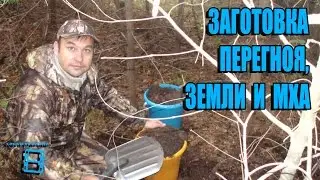 ЗАГОТОВКА ПОЧВЫ (ЗЕМЛИ) И МХА ДЛЯ РАССАДЫ, КОМНАТНЫХ РАСТЕНИЙ И ЦИТРУСОВЫХ. ЭКЗОТИКА НА ПОДОКОННИКЕ