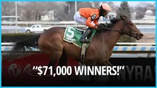 Gulfstream Park Rainbow 6 Payout 44 Tickets Win $71,000+ on Pegasus World Cup Day। USA NEWS TODAY
