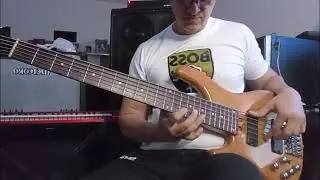 Isn't She Lovely-(B@ss Cover)