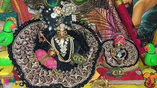 श्याम सुंदर श्याम सुंदर लगे श्यामा श्याम सुंदर लगे..!! राधे राधे!!🙏✨🌿🦚🌺