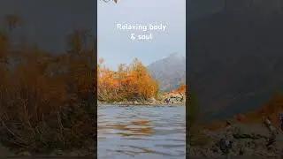 Relaxing body and soul with nature sounds and calm music  #calm  #meditationmusic #relaxing  #nature
