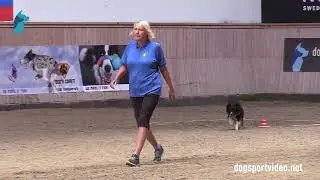 Qualification - Maria Brandel + Bryggarskogens Apps/Border Collie - Sweden