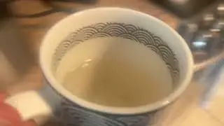 Breville Duo Temp FIX (no water and steam issue); deep cleaning demo