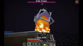 Minecraft Private Server #2 : 