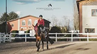 Cinematic Horse Riding Pernilla Iperti