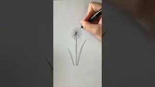 How to draw simple dandelion flowers | Easy drawing tutorial