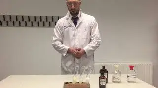 Testing solutions for halide ions