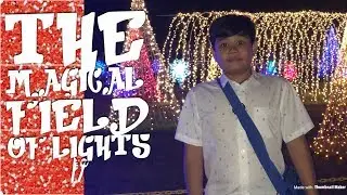 2017 Nuvali&rsquo;s Magical Field of Lights | Full Show | Weekend Vlog