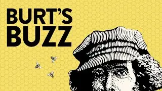 BURT'S BUZZ - Official Trailer