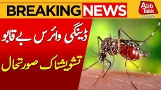 Dengue Virus Out of Control | Alarming Situation in Pakistan | Breaking News | Abbtakk
