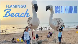 Flamingo Beach RAK | Ras Al Khaimah | Less crowded beach #travelspice #RAK #Relaxing beach #BBQ