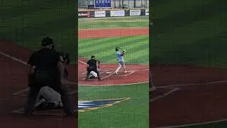 Sam Bat - Performance at the Plate!