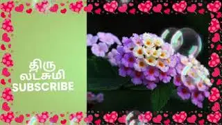 என்னை விட்டு போகாத லட்சுமி தடுத்து நிறுத்திய திரு
