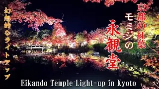 【京都】永観堂 幻想的な紅葉のライトアップ 2025
