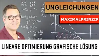 Lineare Optimierung | Maximalprinzip |grafische Lösung | Gewinnmaximierung | Ungleichungen erstellen