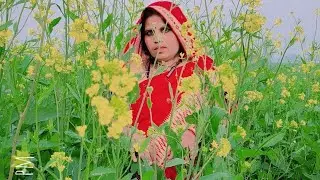 good morning doston Jay Shri Shyam manona dham
