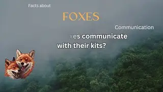 Fox fact 34 - How do foxes communicate with their kits?