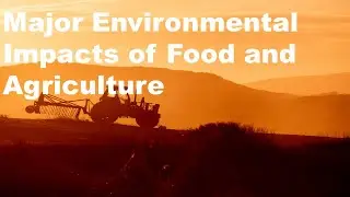 The major environmental impacts of the food and agricultural system that matter!