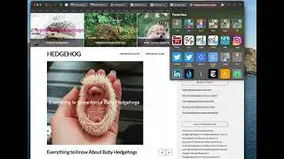 How to add a hyperlink in WordPress