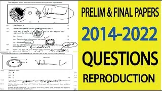 PRELIM PAPERS: Grade 12 life sciences Human reproduction: ovarian cycle : M.Saidi , Thundereduc