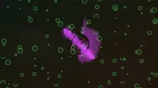 oscillarium jam from the archive