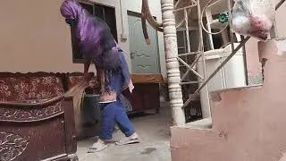 Village life in Pakistan | Village Vlog | Tahreen Village Vlog