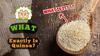 What Exactly Is Quinoa? The Truth Behind the 'Super Grain'