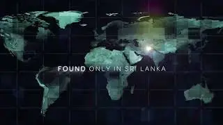 K1 Development | Ceylon Graphite Corporation