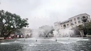 Americana water show white Christmas ￼