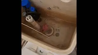 Evernest Bothell - Plumbing Repair - 2 - March 27, 2025