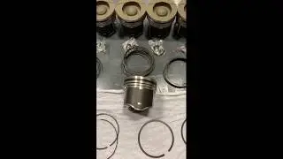 Piston Rings