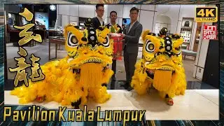 Lion Dance Performance By Malaysia Xuan Long 玄龙 @ Shops in Pavilion KL