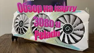 Обзор на карту 3080 ti PELADN | Майнинг ETH, ETC, ERGO, FIRO, RVN, DUAL (Часть 1)