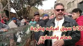 فرجة سوق حمام امبابه  ونتعرف على أسعار الحمام