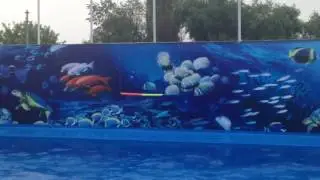 Delfinariu md