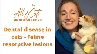 Dental disease in cats - Feline resorptive lesions