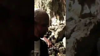 Goa Hawang langgur Malra.(1)