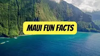 The Only Maui Fun Facts Video You Need to Watch
