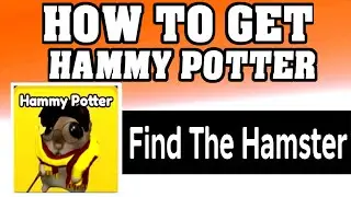 How To Get HAMMY POTTER in FIND THE HAMSTER ROBLOX [walkthrough] [UPDATE] [2026]