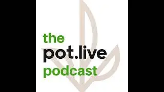 Ep.131 | Pot Stocks VI | Fall Cannabis Stock Update with Matthew Carr