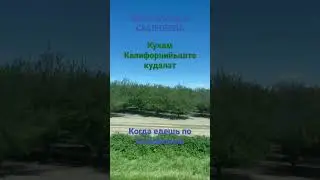 While driving in California*КУНАМ КАЛИФОРНИЙЫШТЕ КУДАЛАТ*Когда едешь по Калифорнии