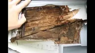 Wilmington Wood Repair &ndash; Dry rot &ndash; Termite and Rotten Wood. Call 310-807-6287