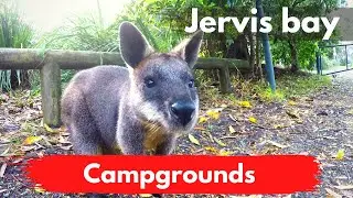 Camping at Jervis Bay | Booderee National Park NSW