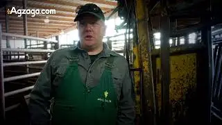 How to Calm Your Cattle | Veterinarians Review FerAppease Bovine at the Stockyards 🐄