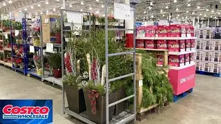 COSTCO SHOP WITH ME CHRISTMAS DECORATIONS KITCHENWARE PERSONAL CARE SHOPPING STORE WALK THROUGH