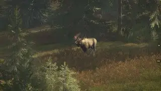 LIVE BERBURU - THE HUNTER CALL OF THE WILD INDONESIA