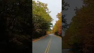 Acadia National Park Loop Road Leaves Fall 10/20/25 Foliage Drive Acadia Woody's Cadillac Loop Tour!