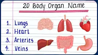 20 body organs names | body parts name in English | Body Organs Name